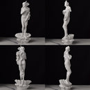 Mini Estátuas de Deusas Gregas Clássicas – Esculturas Artísticas de Vênus para Decoração Elegante