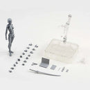 Drawing Figurines Body Kun Body Chan Doll PVC Movable Action Figure Model For SHF Artist Art Model Figure without box