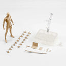 Drawing Figurines Body Kun Body Chan Doll PVC Movable Action Figure Model For SHF Artist Art Model Figure without box
