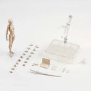 Drawing Figurines Body Kun Body Chan Doll PVC Movable Action Figure Model For SHF Artist Art Model Figure without box